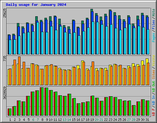 Daily usage for January 2024