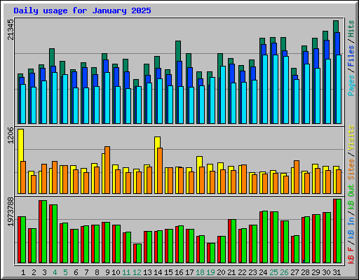 Daily usage for January 2025