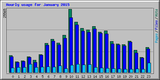 Hourly usage for January 2015