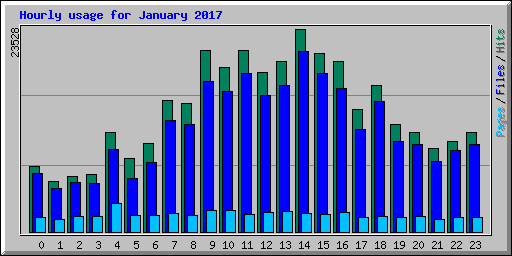 Hourly usage for January 2017