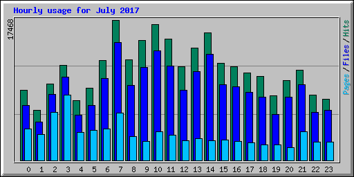 Hourly usage for July 2017