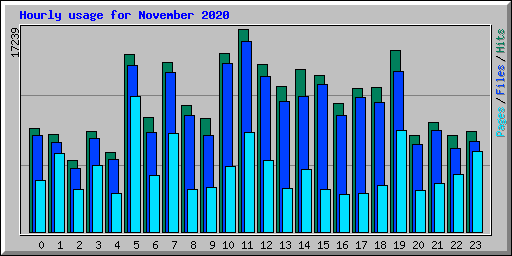 Hourly usage for November 2020