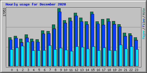 Hourly usage for December 2020