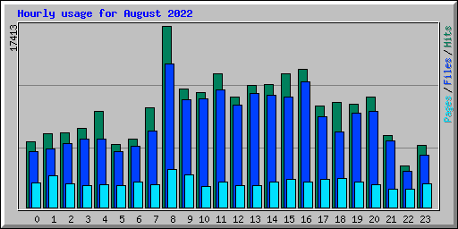 Hourly usage for August 2022