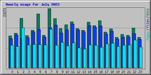 Hourly usage for July 2023
