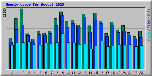 Hourly usage for August 2023