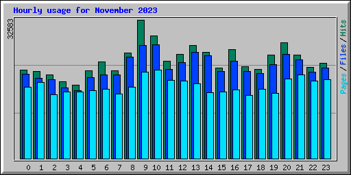 Hourly usage for November 2023