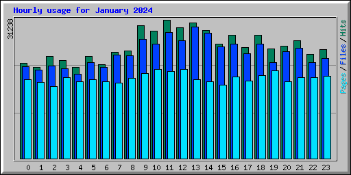Hourly usage for January 2024