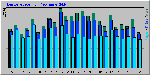 Hourly usage for February 2024
