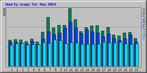 Hourly usage for May 2024