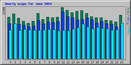 Hourly usage for June 2024