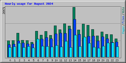 Hourly usage for August 2024