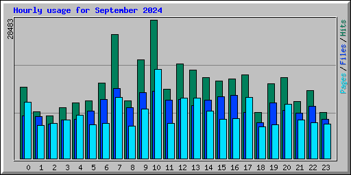 Hourly usage for September 2024