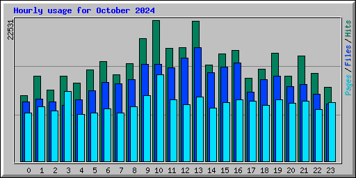 Hourly usage for October 2024