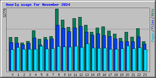 Hourly usage for November 2024