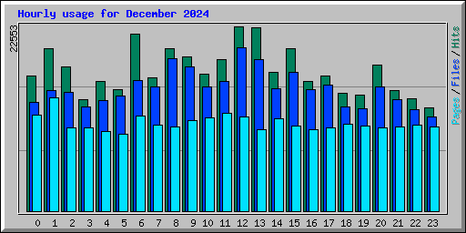Hourly usage for December 2024
