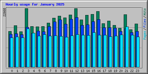 Hourly usage for January 2025