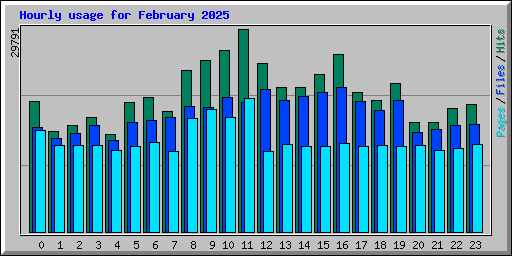 Hourly usage for February 2025
