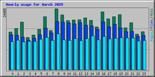 Hourly usage for March 2025