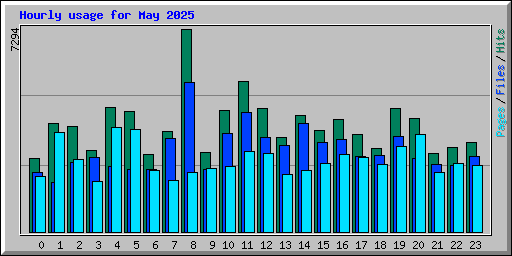 Hourly usage for May 2025