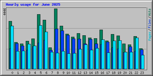 Hourly usage for June 2025