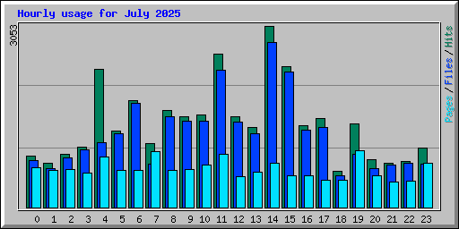 Hourly usage for July 2025