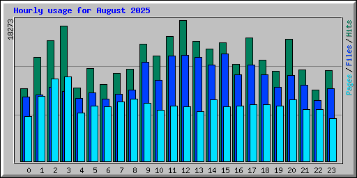 Hourly usage for August 2025
