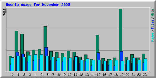 Hourly usage for November 2025