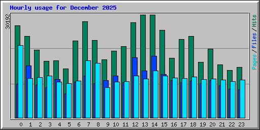 Hourly usage for December 2025